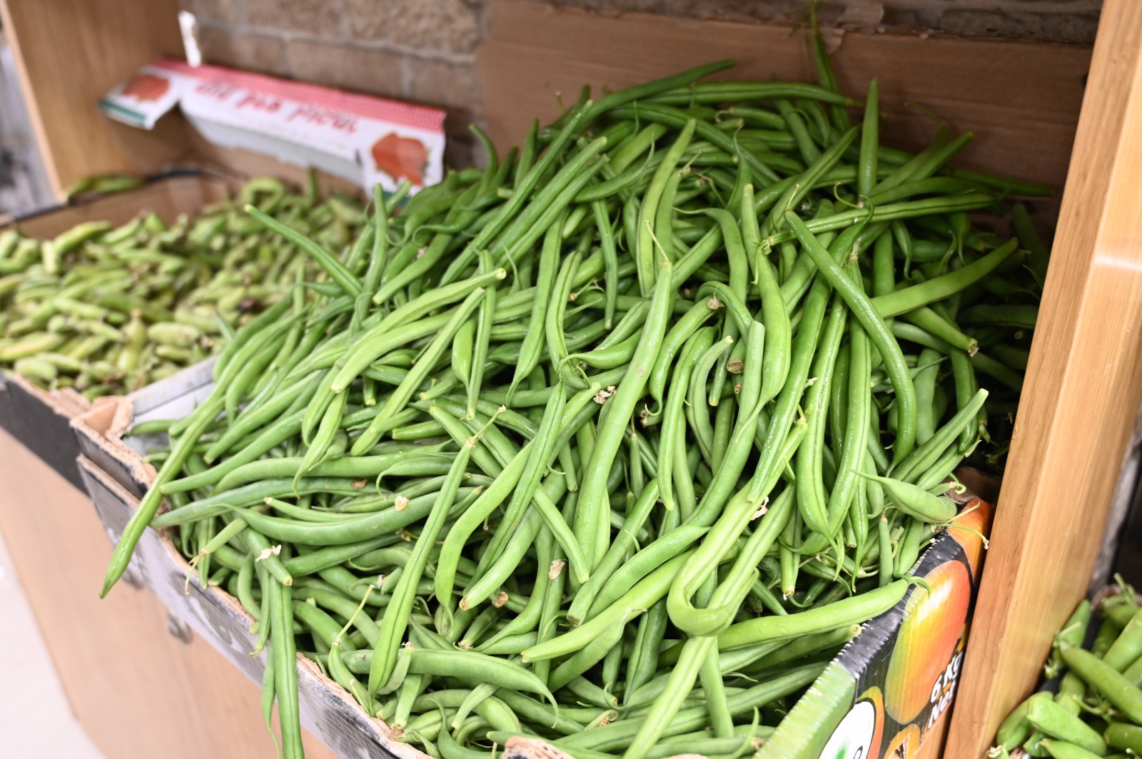 WhatsApp Image 2022-03-29 at 1.25.20 PM.jpg